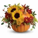 FallPumpkin 1