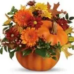 FallPumpkin 2