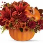 FallPumpkin 3