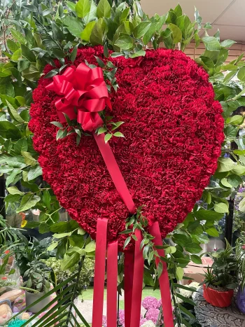 Heart 1