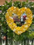Heart24