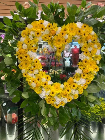 Heart 24