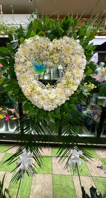 Heart 25
