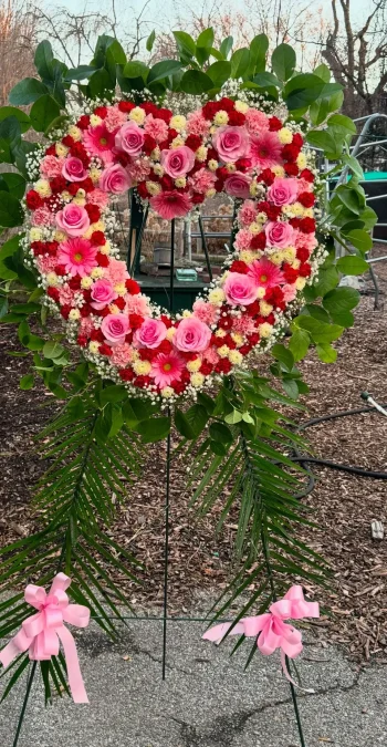 Heart 26