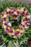 Heart29