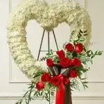 Heart 42