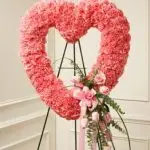 Heart 43