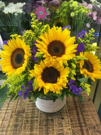 Sunflower 1