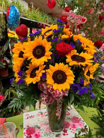 Sunflower 4