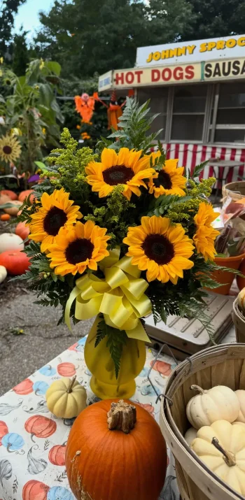 Sunflower 5