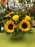 Sunflower6