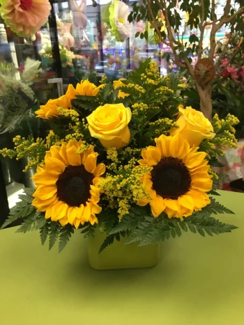 Sunflower 6