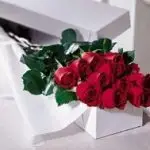 VD Box Red Roses 12