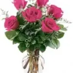 VD Hot Pink Roses 6