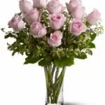 VD Light Pink Roses 12