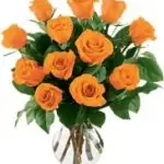 VD Orange Roses 12