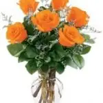 VD Orange Roses 6