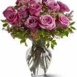 VD Purple Roses 12
