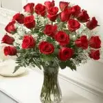 VD Red Roses 24