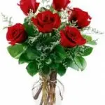 VD Red Roses 6