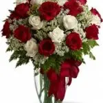 VD Red & White Roses 12