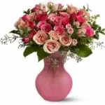 VD Spray Roses