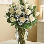VD White Roses 12