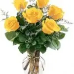 VD Yellow Roses 6