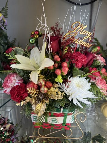 Christmas Sleigh Red & White