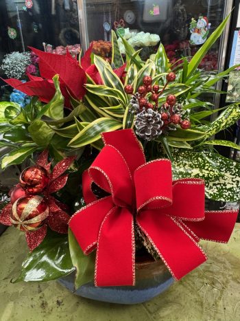 Christmas Dish Garden 2