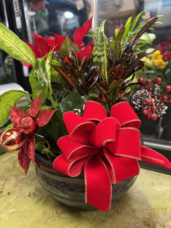 Christmas Dish Garden 1