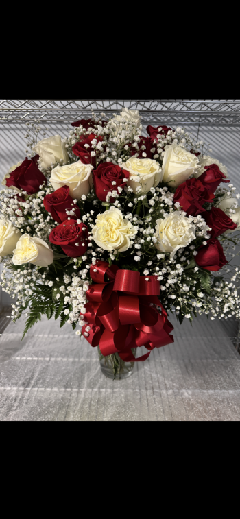VD Red & White Roses 36