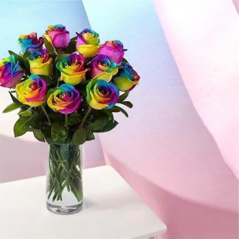 VD Rainbow Roses 12