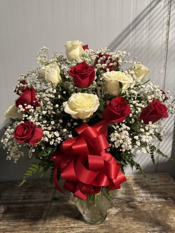 Roses Red & White 24