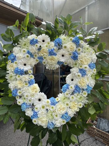Heart 44