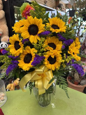 Sunflower 8
